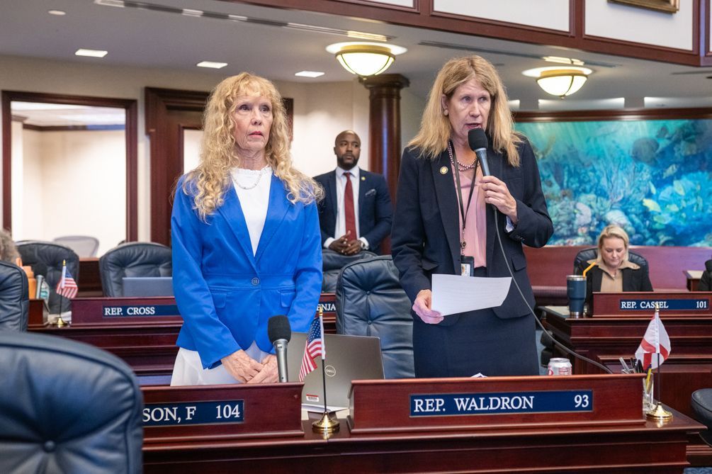 Katherine Waldron (District: 93) speaking on the floor.