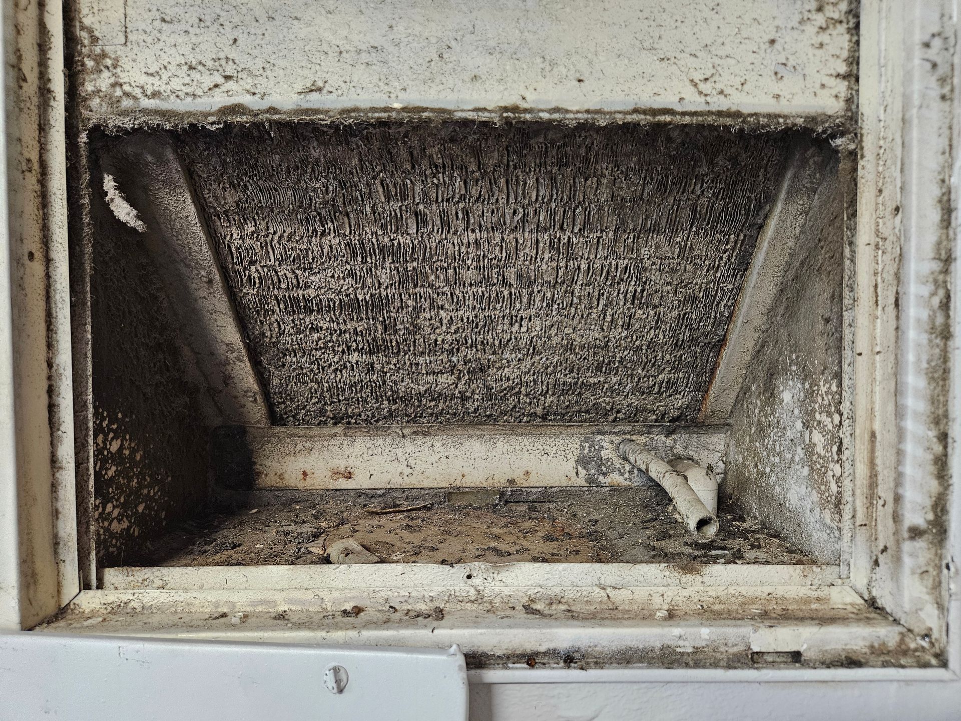 Air ducting covered in dust and mold
