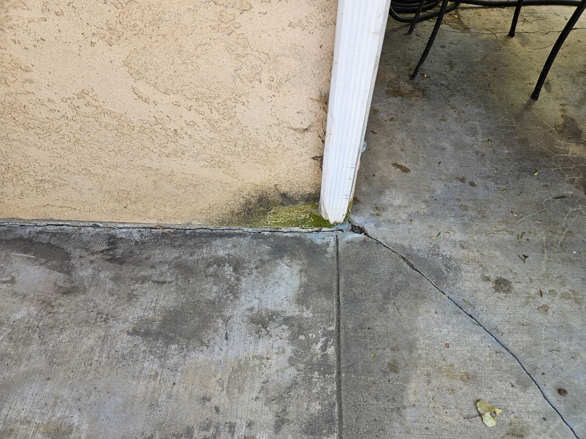 Mold and mildew buildup outside the house on the wall
