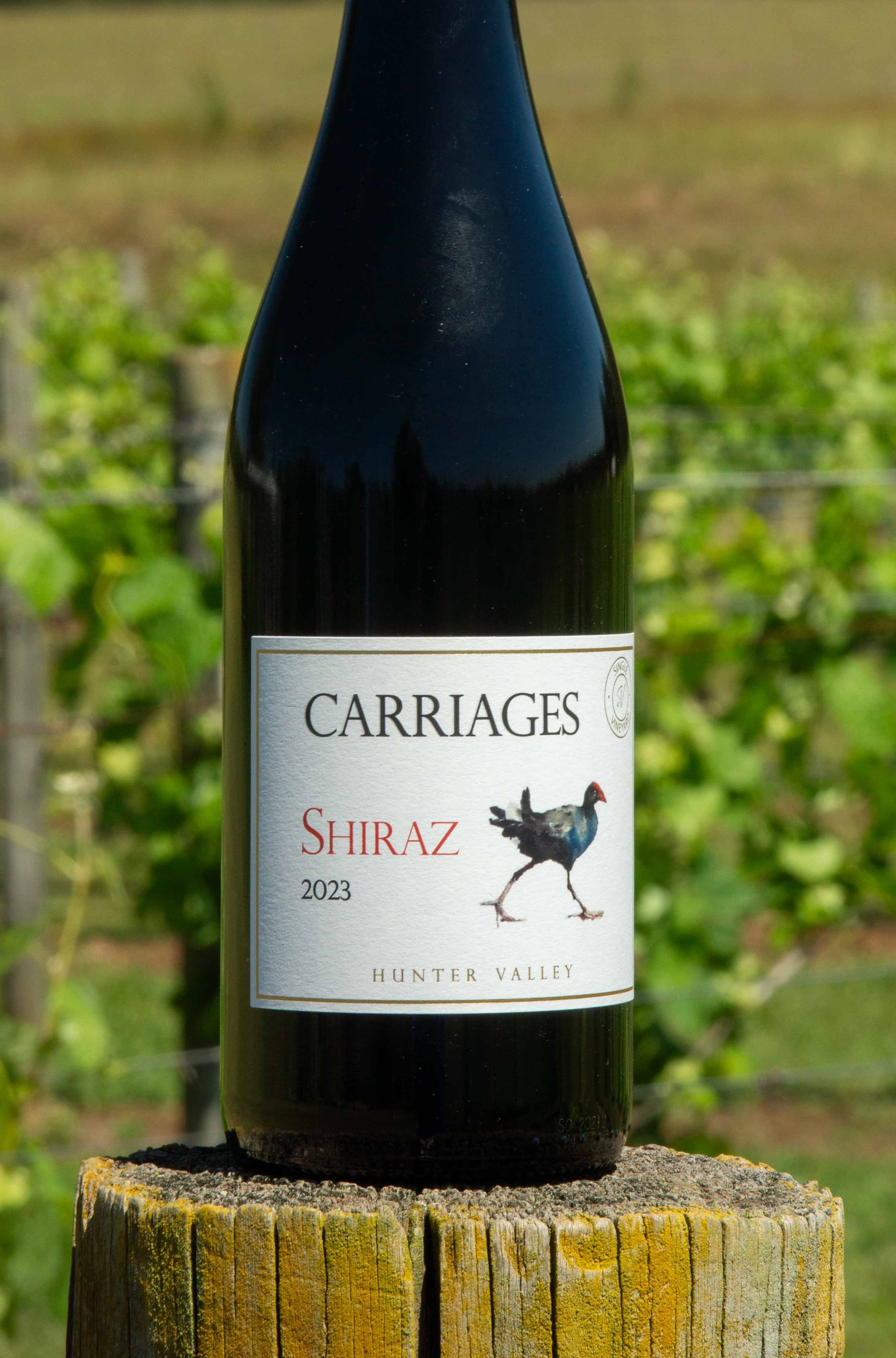 Close up image of Welly's Block Shiraz next to two wine glasses.
