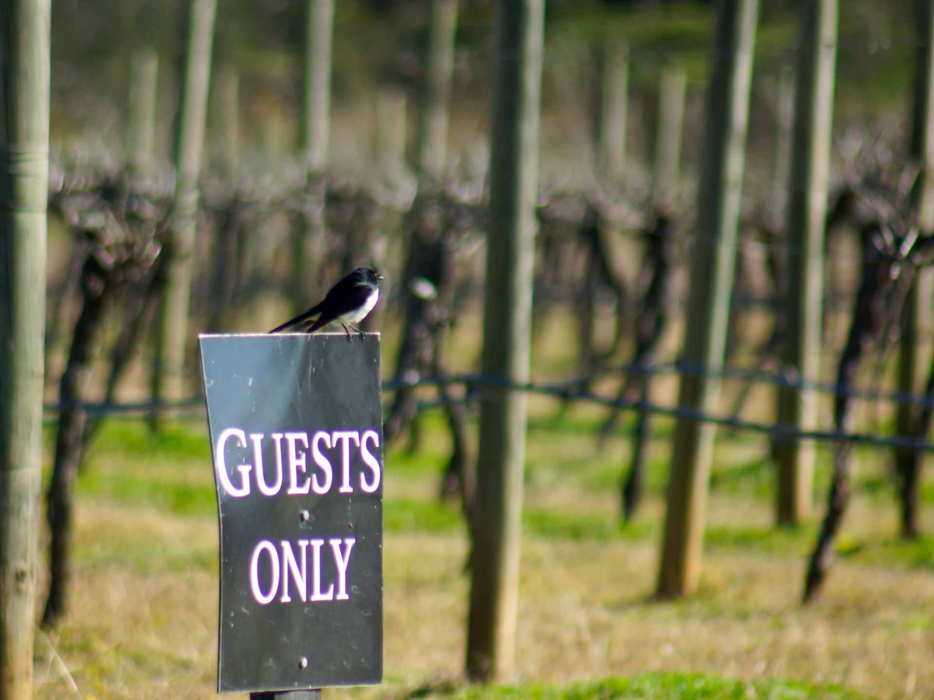 We value privacy for our guests. 