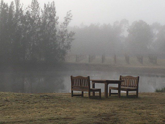 Winter misty mornings add a special sight. 