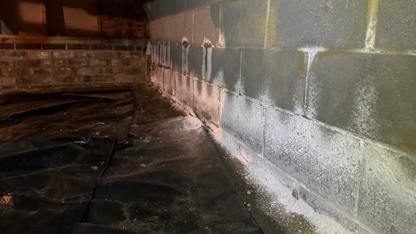 What is Basement Efflorescence and Why is it a Problem?