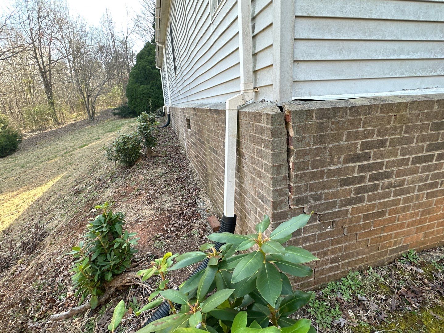 Why Do My Floors Squeak and Creak? Causes & Solutions