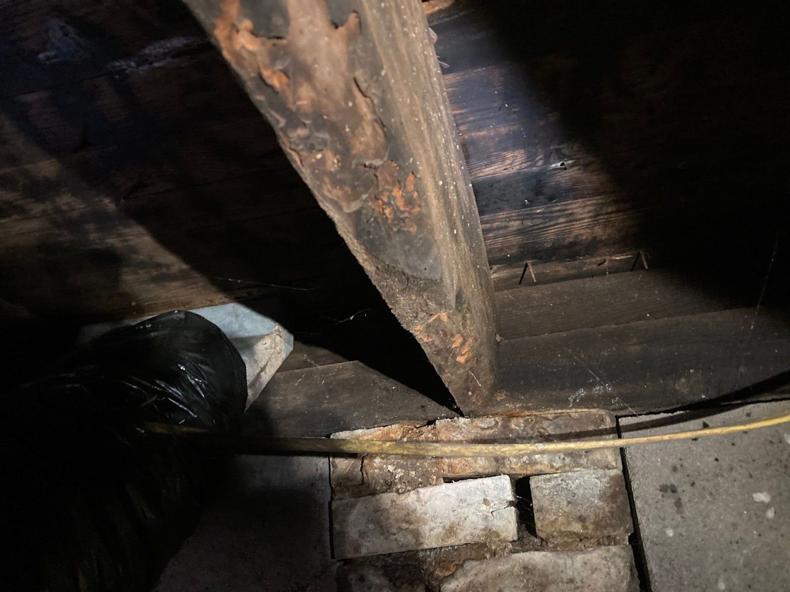 Why Do My Floors Squeak and Creak? Causes & Solutions