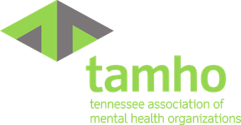Tennessee Association of Mental Health Organizations Tennessee Association of Mental Health Organizations