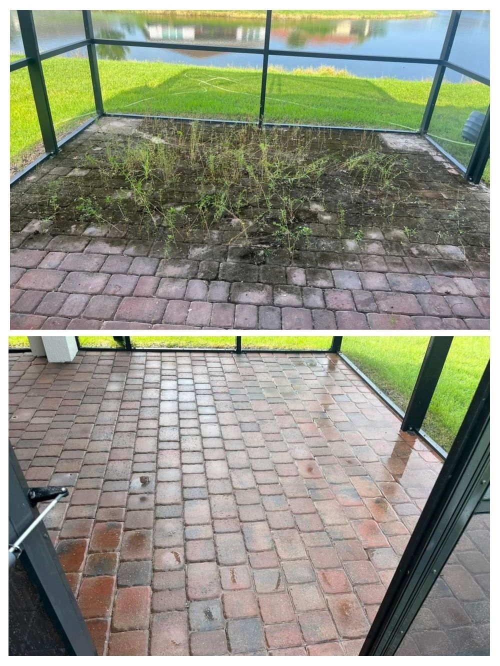 Image showing how much of a difference Pressure and soft washing can make on your patio. You can see a split image of a patio before and after pressure washing. In the above section of the image you can see a patio that has weeds and dirt growing in between the paver stones. In the below section of the image you can see a freshly washed patio.