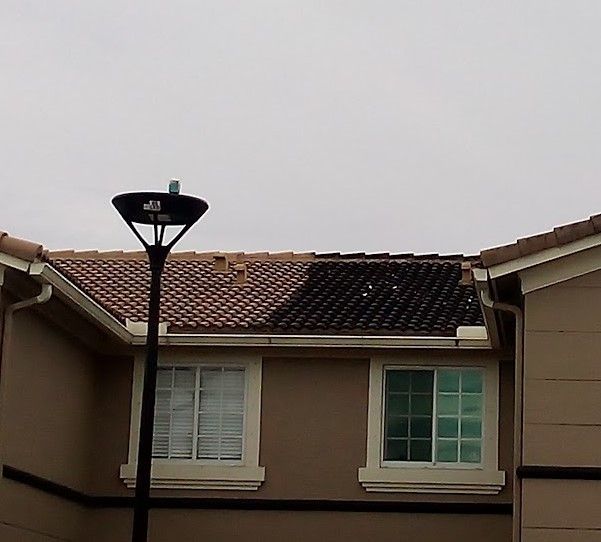 Picture showing a roof with terracotta roof tiles going through a roof soft wash. You can see half of the roof tiles have been cleaned demonstrating the difference roof cleaning can make.