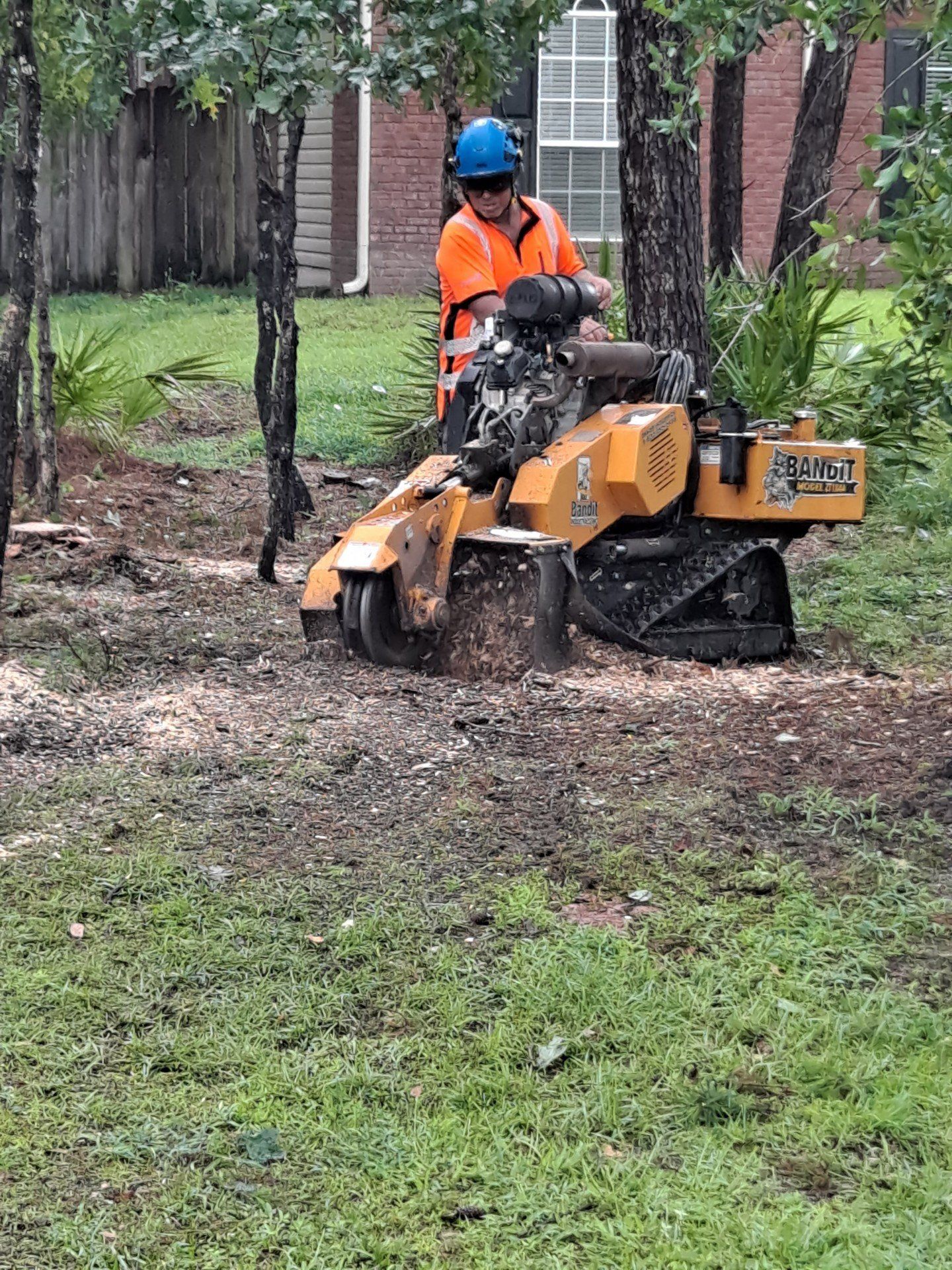 Tree Trimming in Panama City Beach, FL | Pearce Tree &  Stump Service