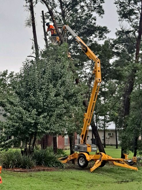 Tree Service in Panama City Beach, FL | Pearce Tree &  Stump Service