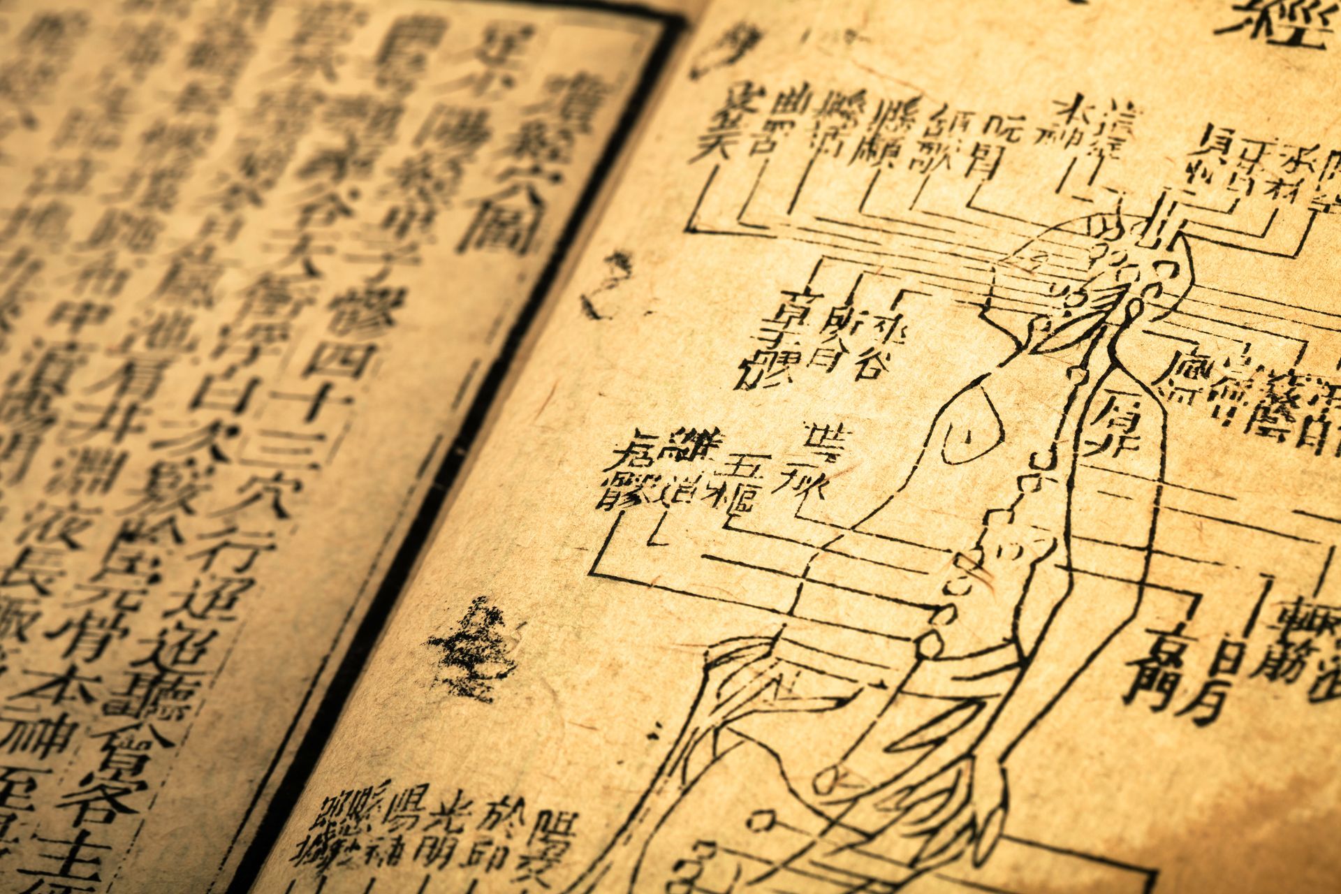 Chinesische Medizin zur Behandlung von Menstruationsbeschwerden und Endometriose