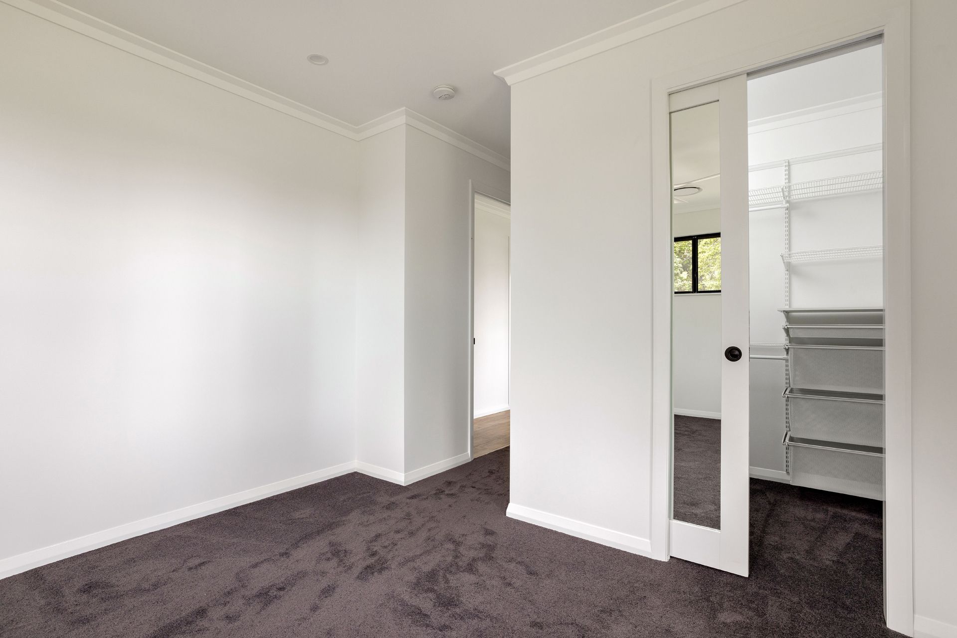An Empty Room With Grey Carpet, White Walls — Ashlee Jones Homes in Gordonvale, QLD