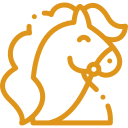 A gold-colored, stylized line art icon of a smiling horse head with a flowing mane.