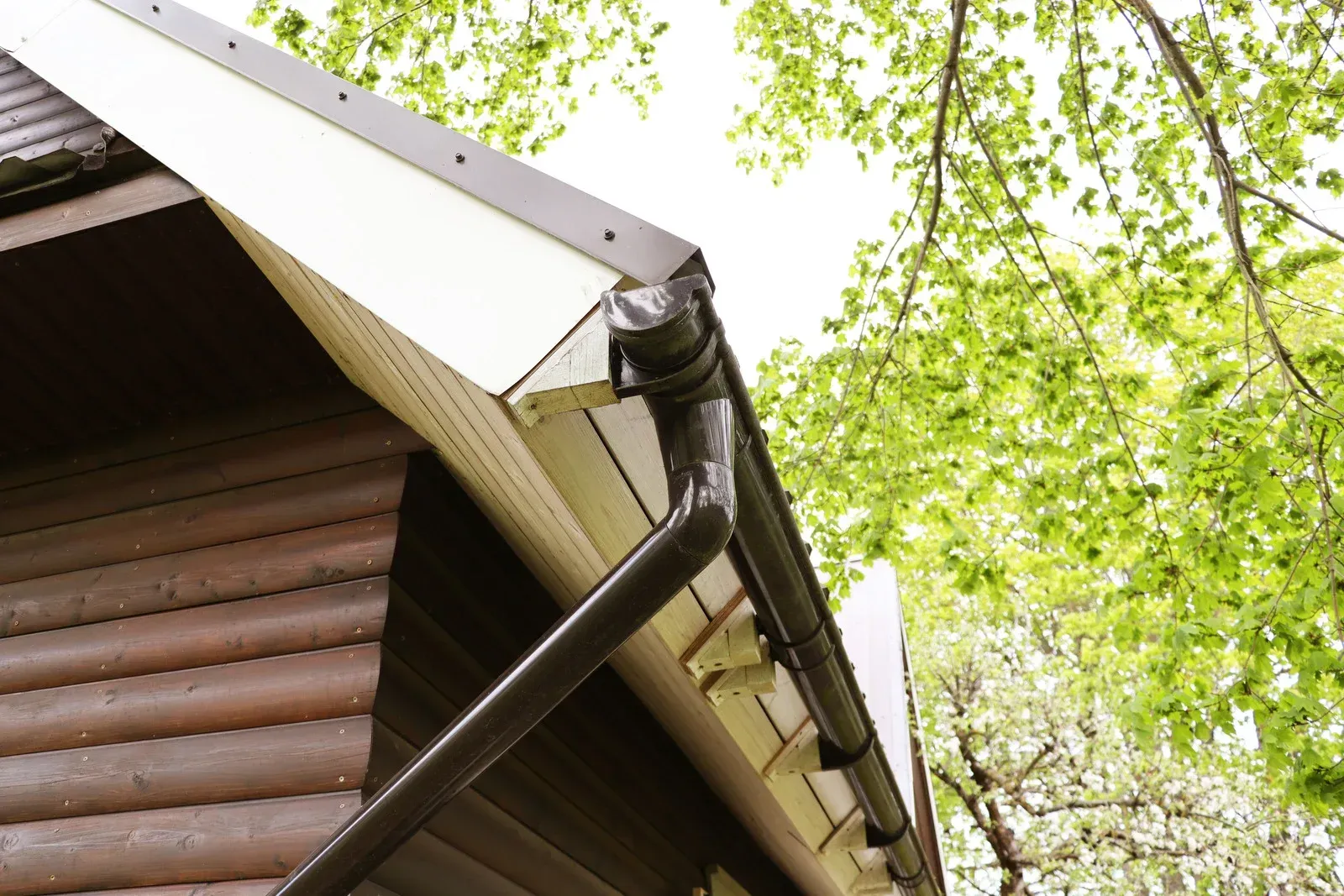 Brown gutter on a wooden building with green foliage in the background.
