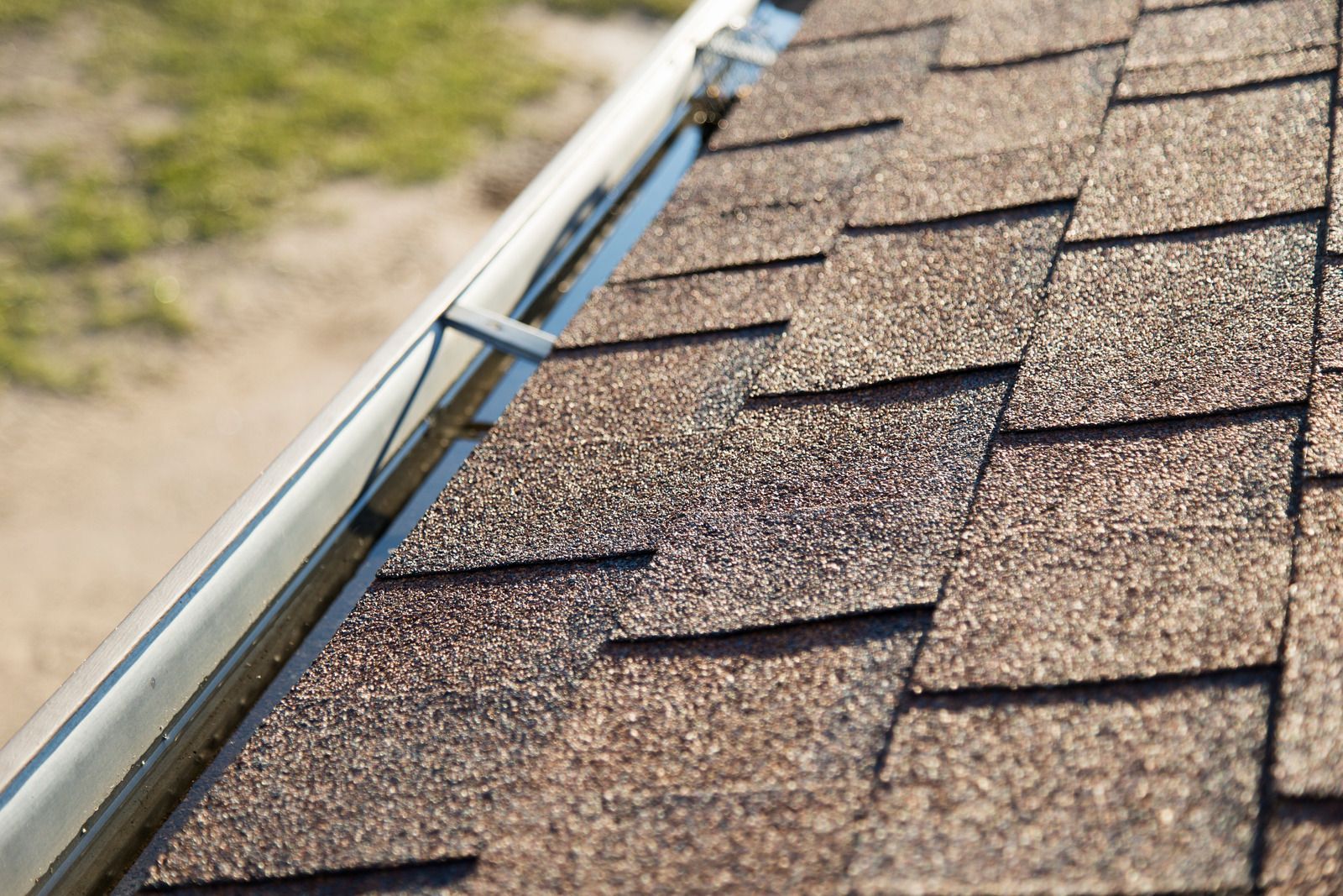 Roof shingles with a rain gutter and downspout along the edge of a house