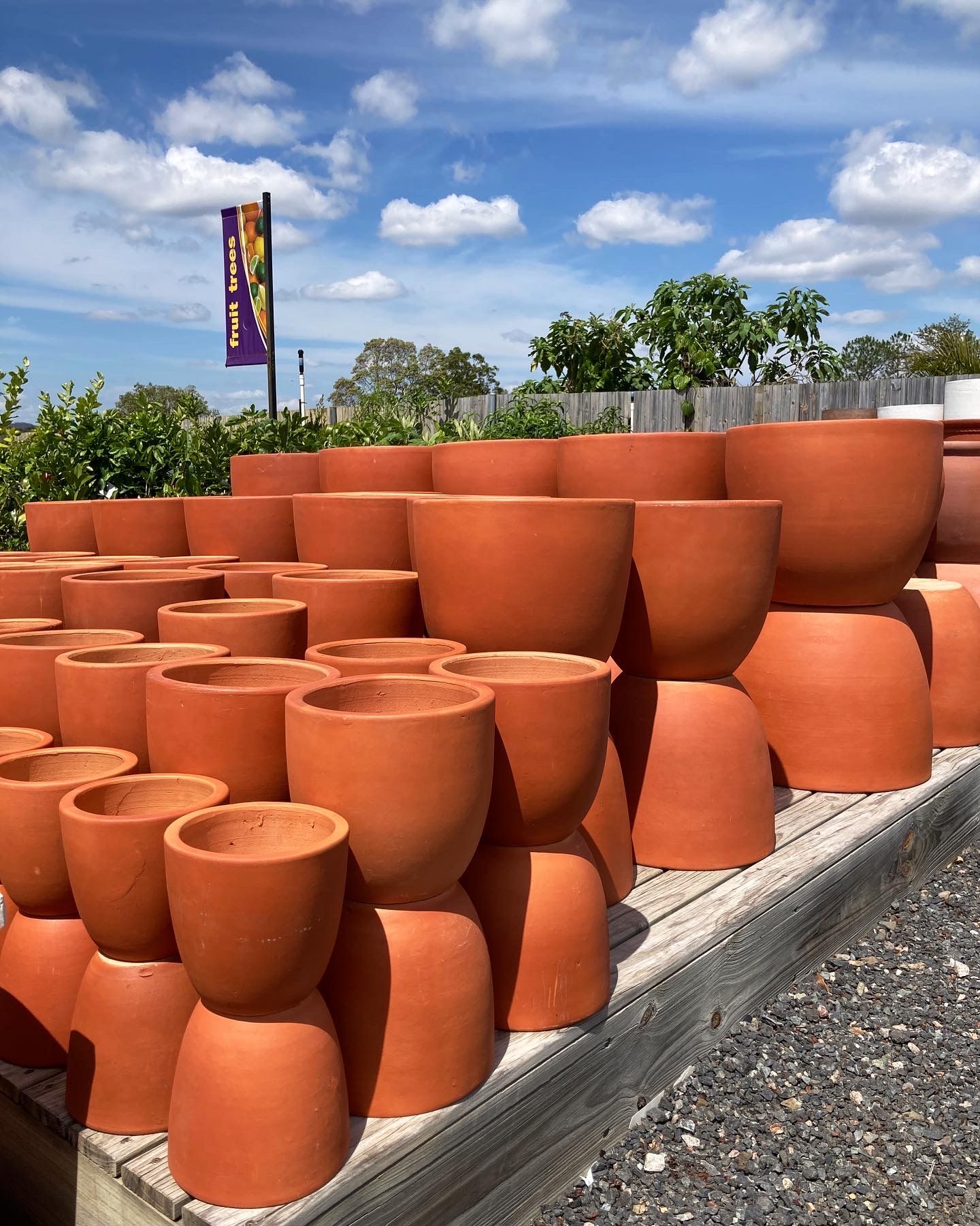 Plant Pots for Sale in Queensland Timbara Garden Centre