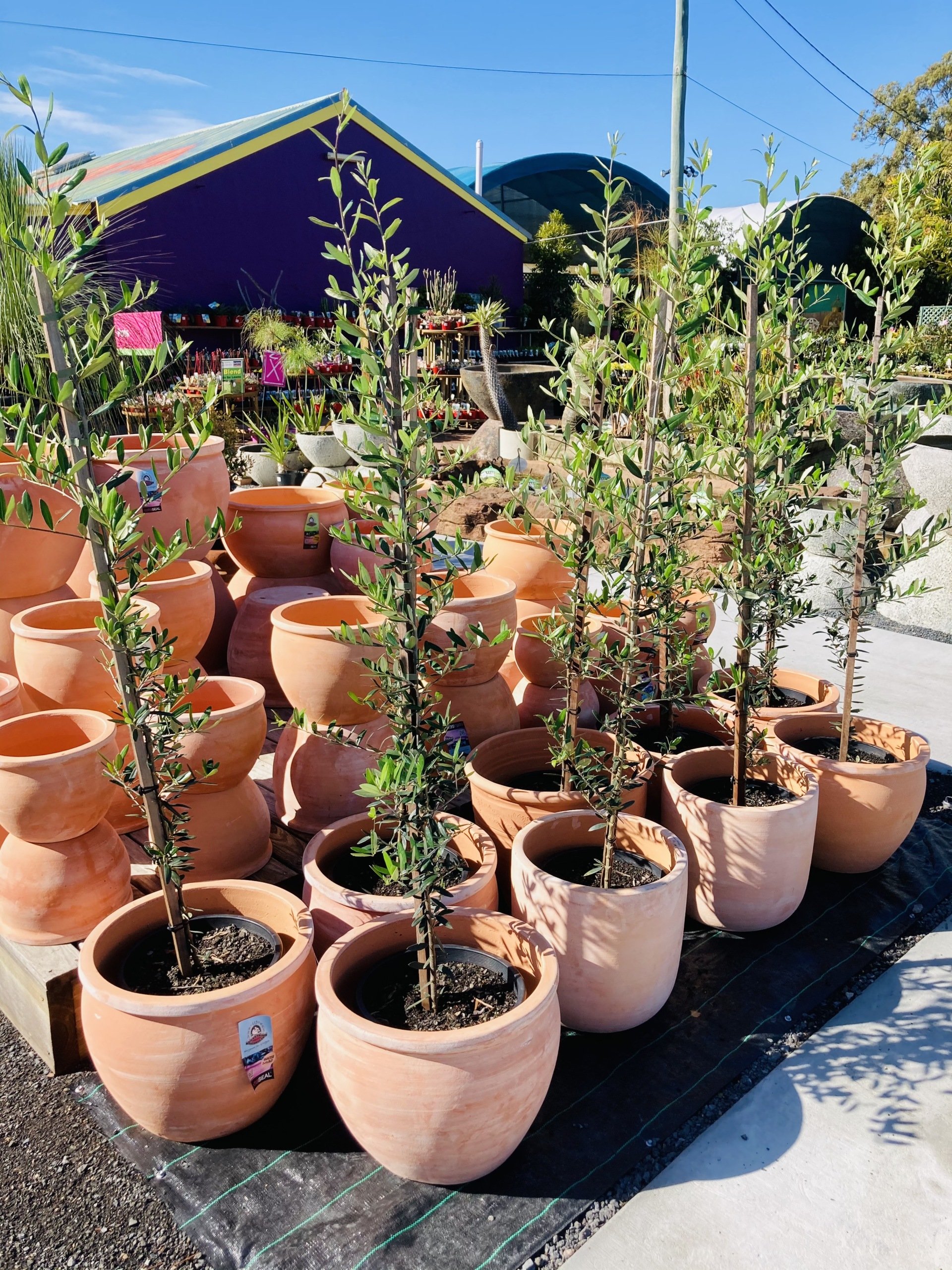 Garden Nursery & Shop in Redlands, QLD Timbara Garden Centre