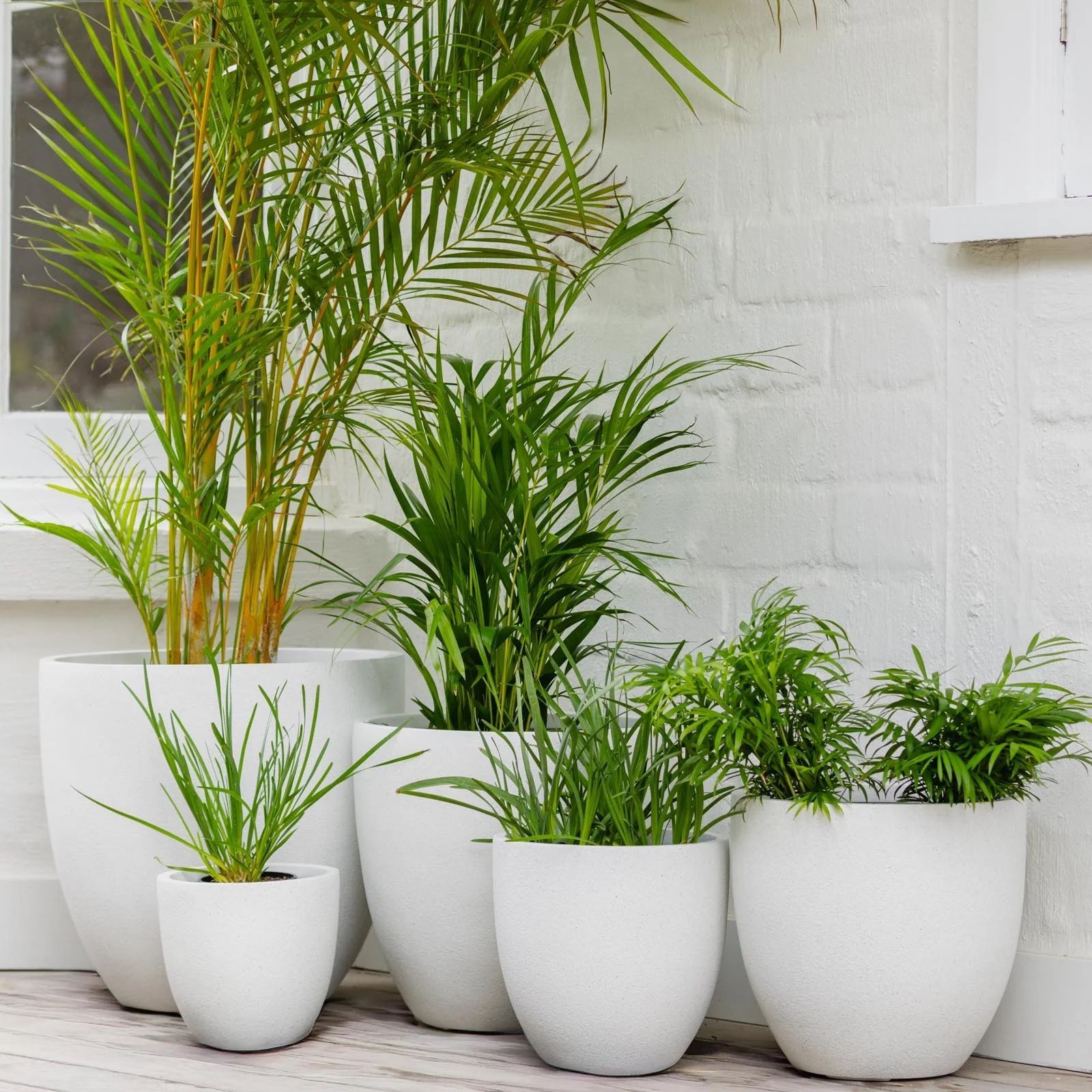 White planter pot on a outdoor patio