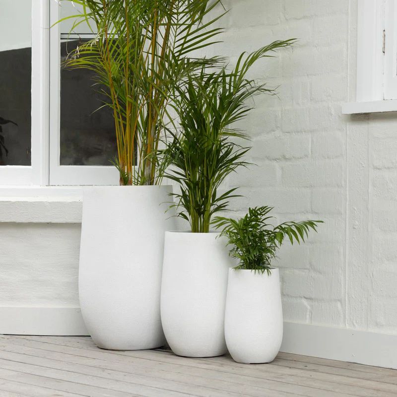White planter pot in front of an entrance green