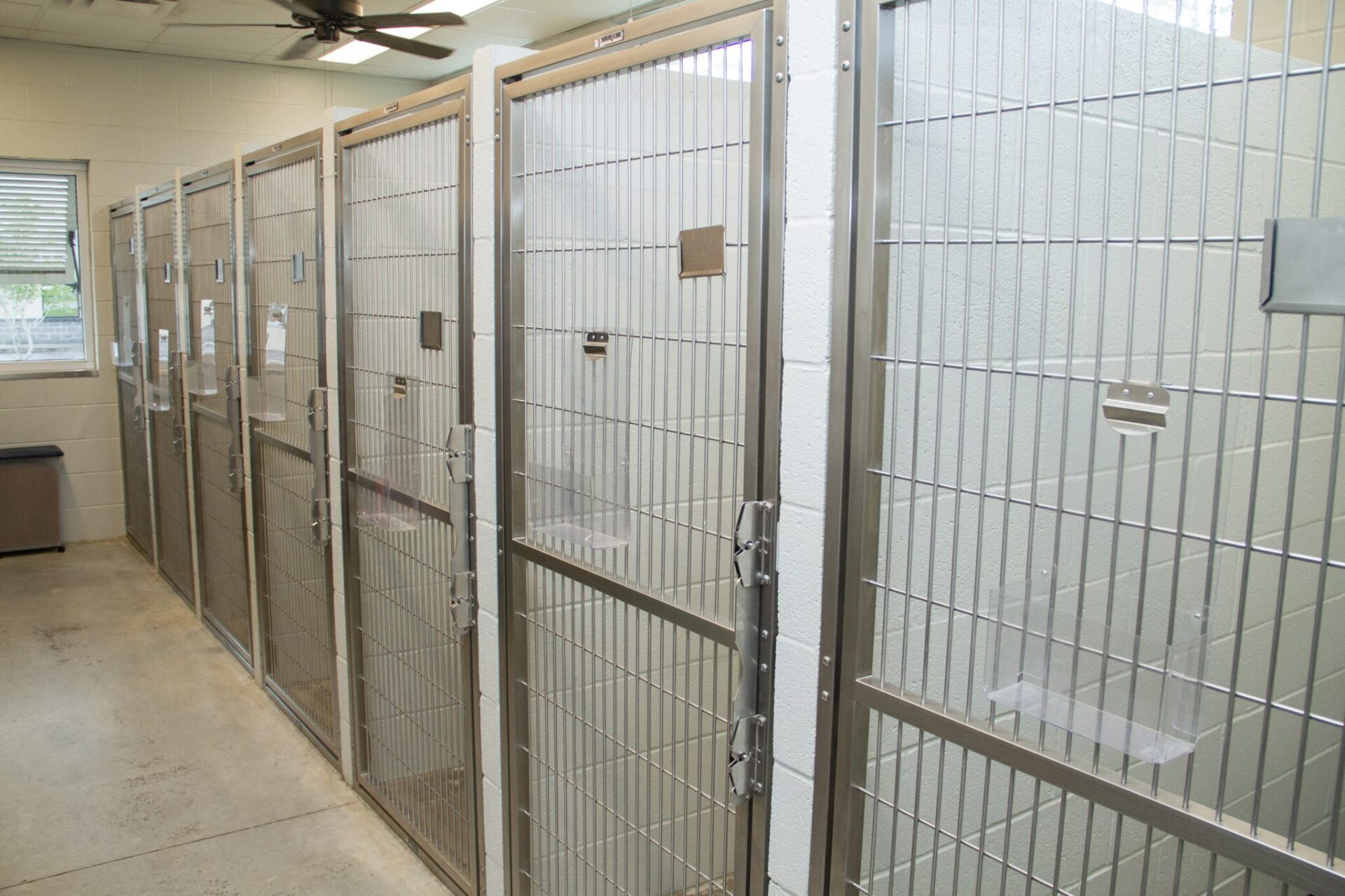 Pet Boarding Services Shackleford Road Veterinary Clinic