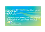 Service Business of the Year 2010