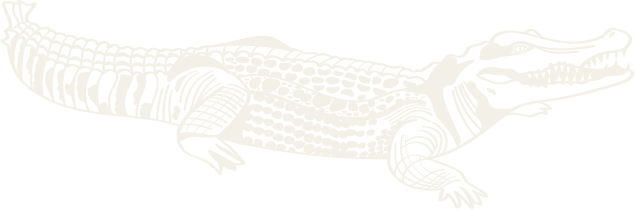Ilustración en tonos claros de un caimán con trazos lineales inspirados en la fauna tropical.