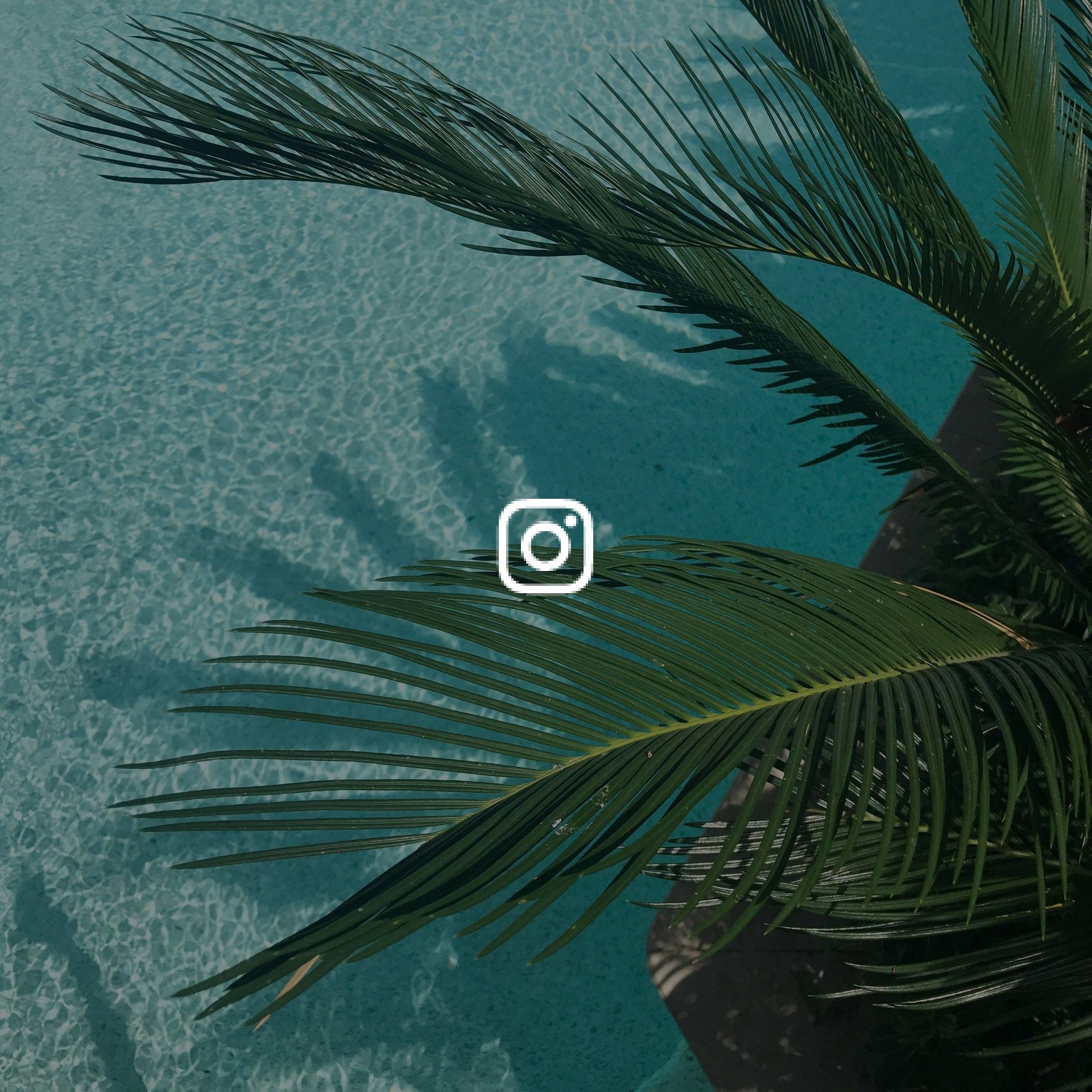 Folhas de palmeira sobre mar tropical visto do alto, com filtro escuro e tonalidade mais profunda de azul.
