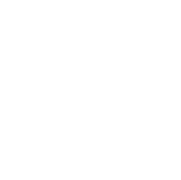 A white background with a few lines on it