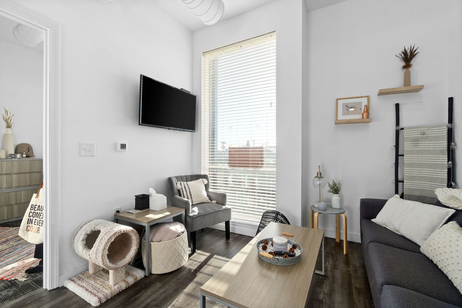 Photo showing a living room with plenty of natural lighting due to a very tall, wide window