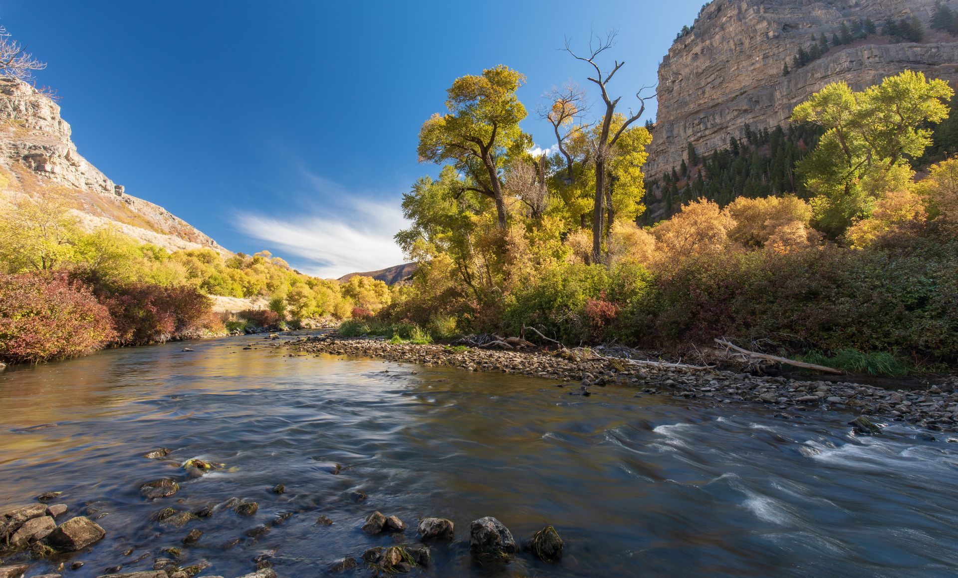 A river flowing through a canyon surrounded by trees and rocks.
