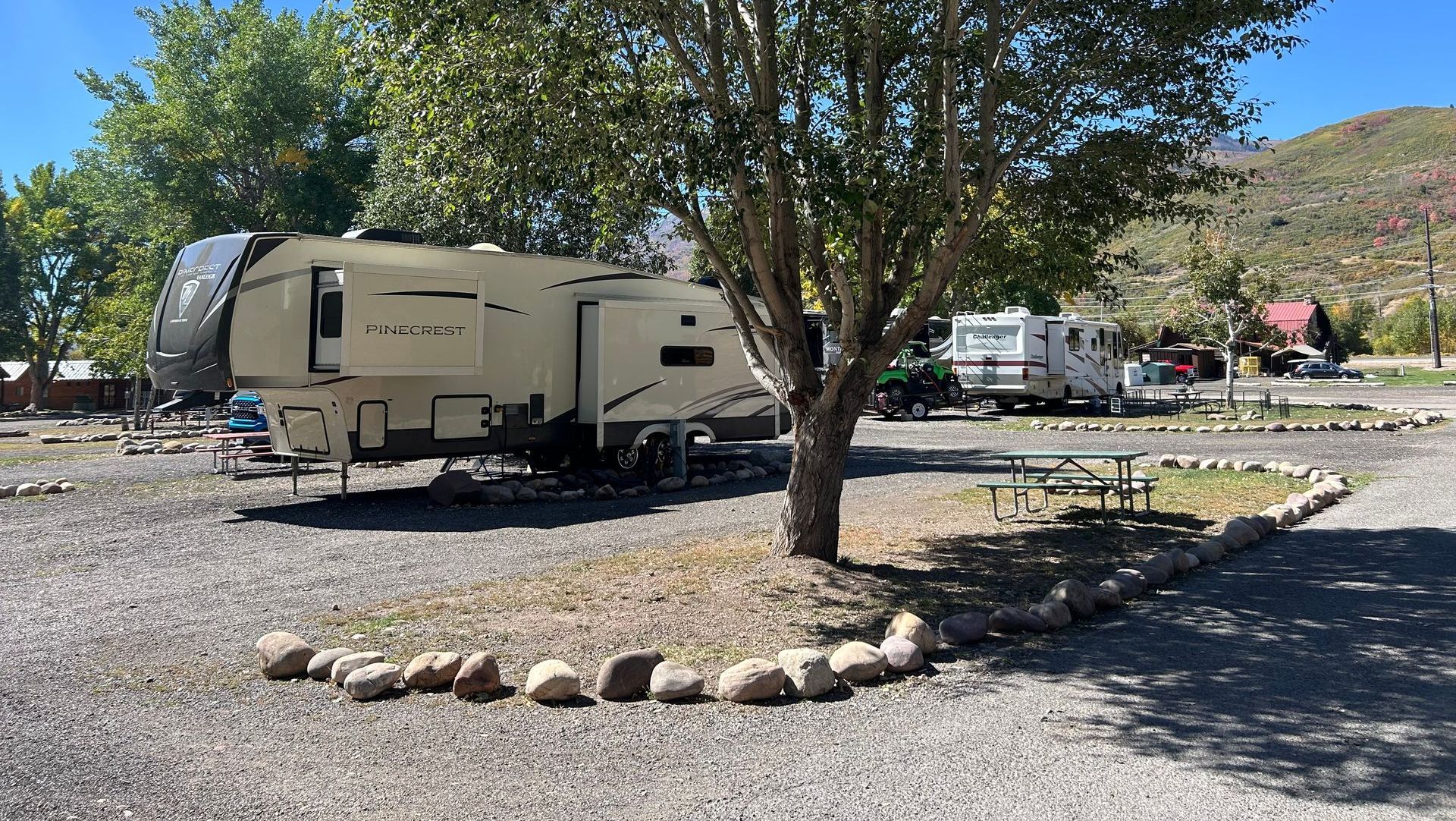 A rv is parked under a tree in a gravel lot.