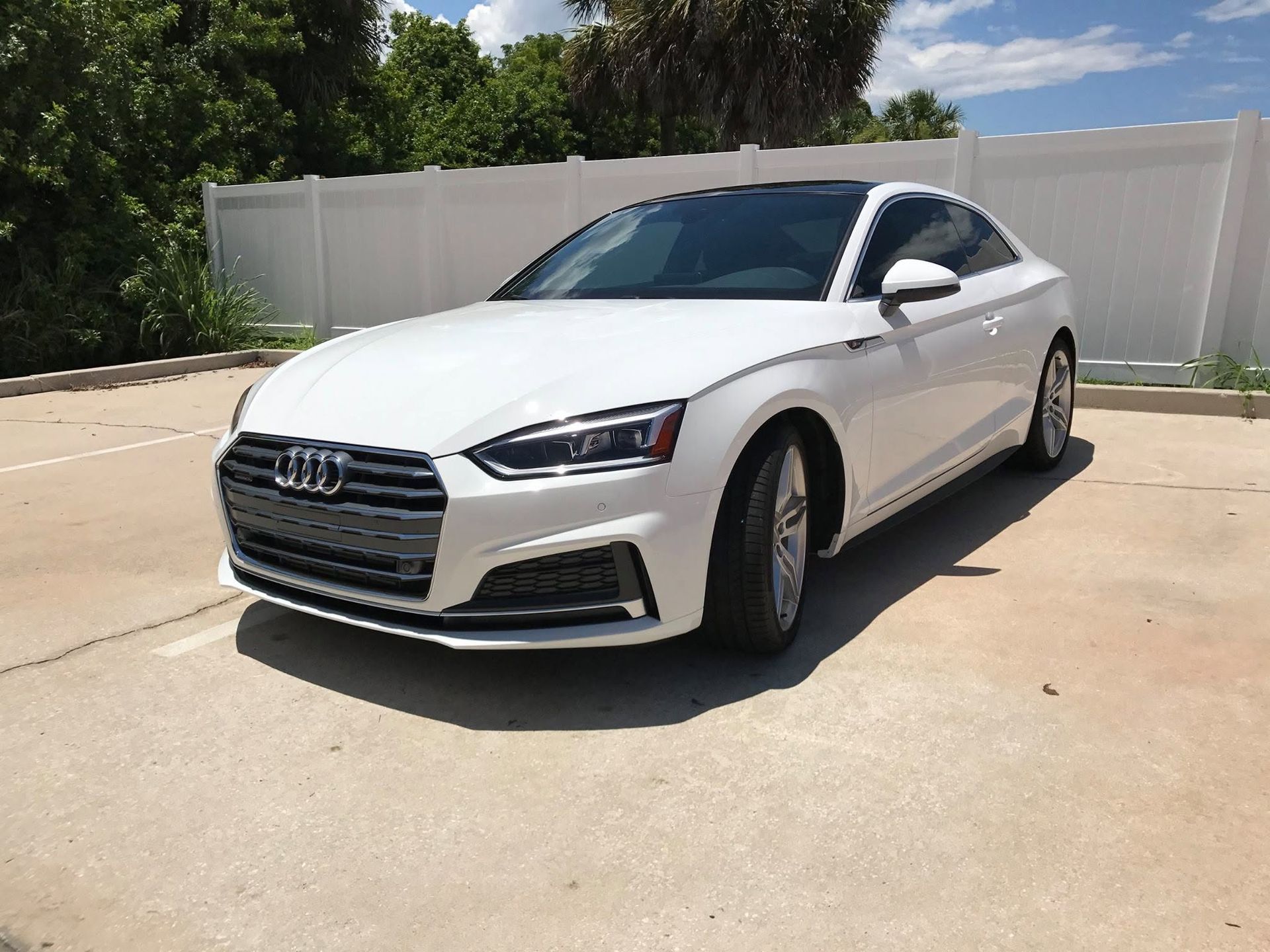 Platinum Gloss PPF