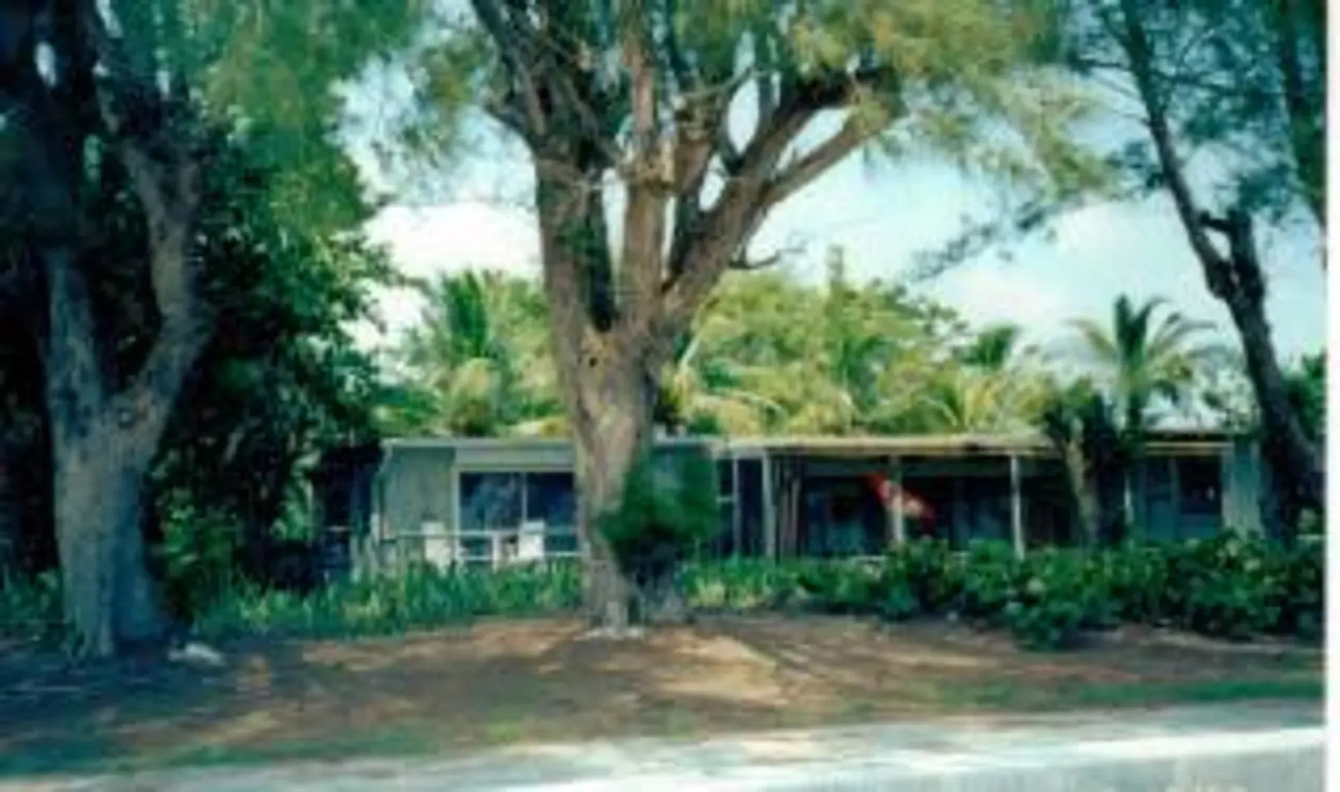 Tree-shaded house with a front porch, surrounded by lush greenery under a clear sky