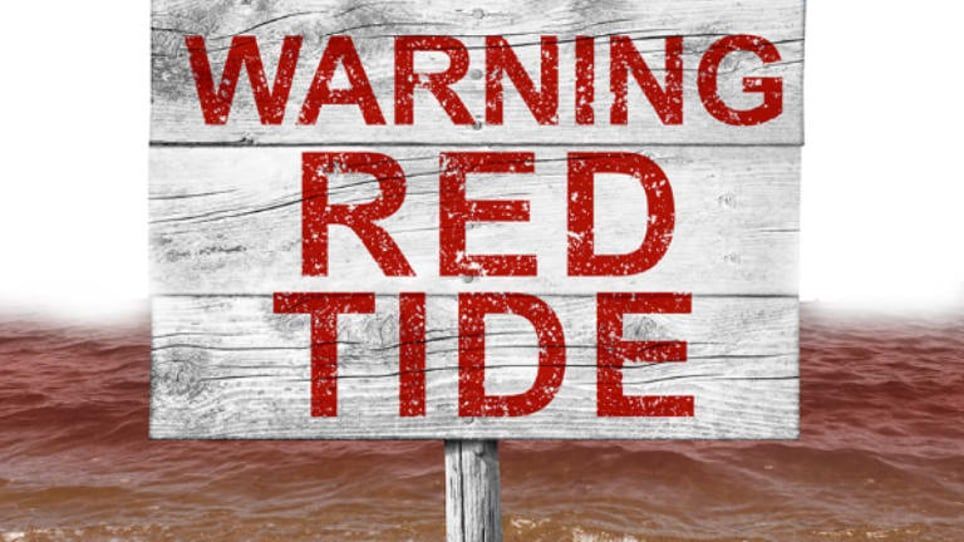 A wooden sign that says warning red tide on it