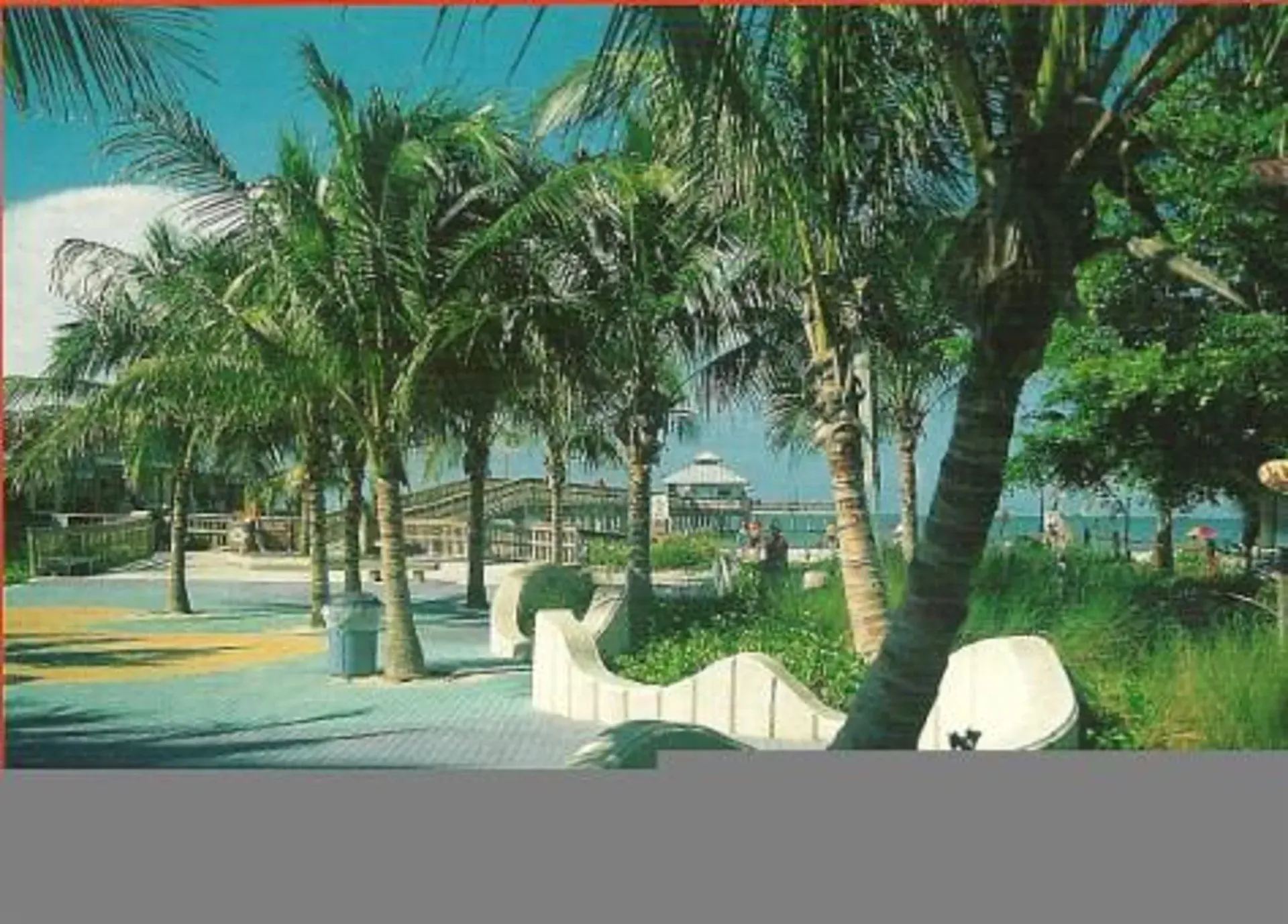 A row of palm trees are lined up in a park
