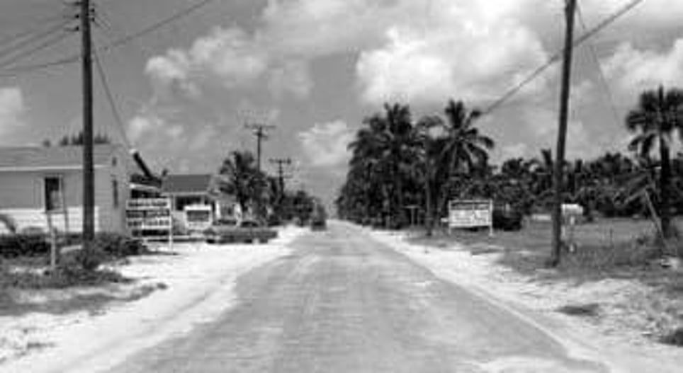 A black and white photo of a road with palm trees on both sides.