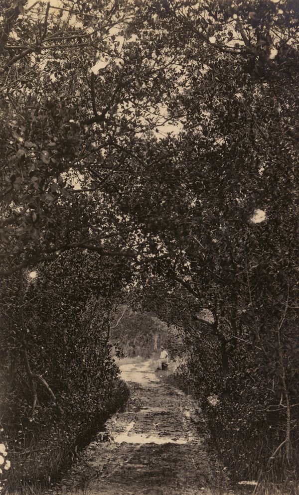 A black and white photo of a river surrounded by trees.