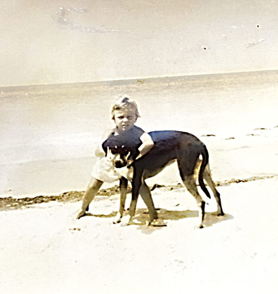 A little girl standing next to a dog on the beach