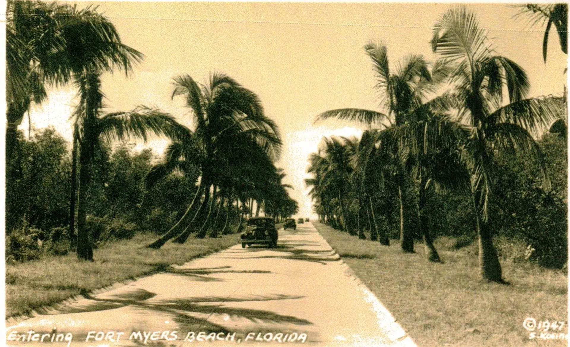 A black and white photo of a road lined with palm trees