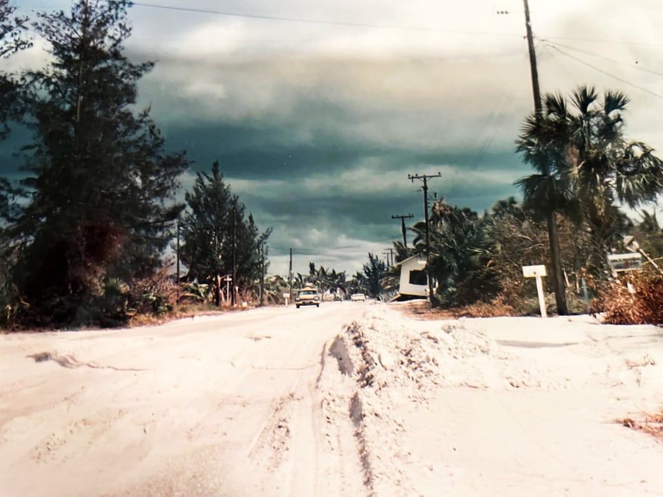 A dirt road with a mailbox in the middle of it