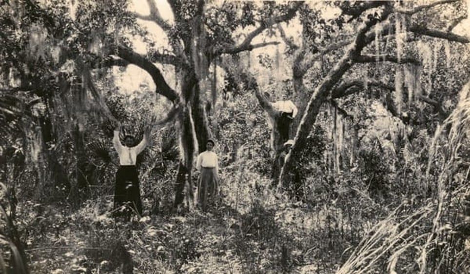 A black and white photo of a group of people standing in a forest.