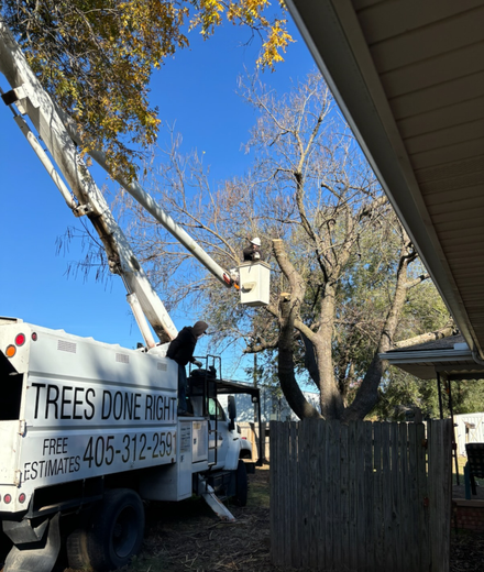 A trees done right truck is parked in front of a house