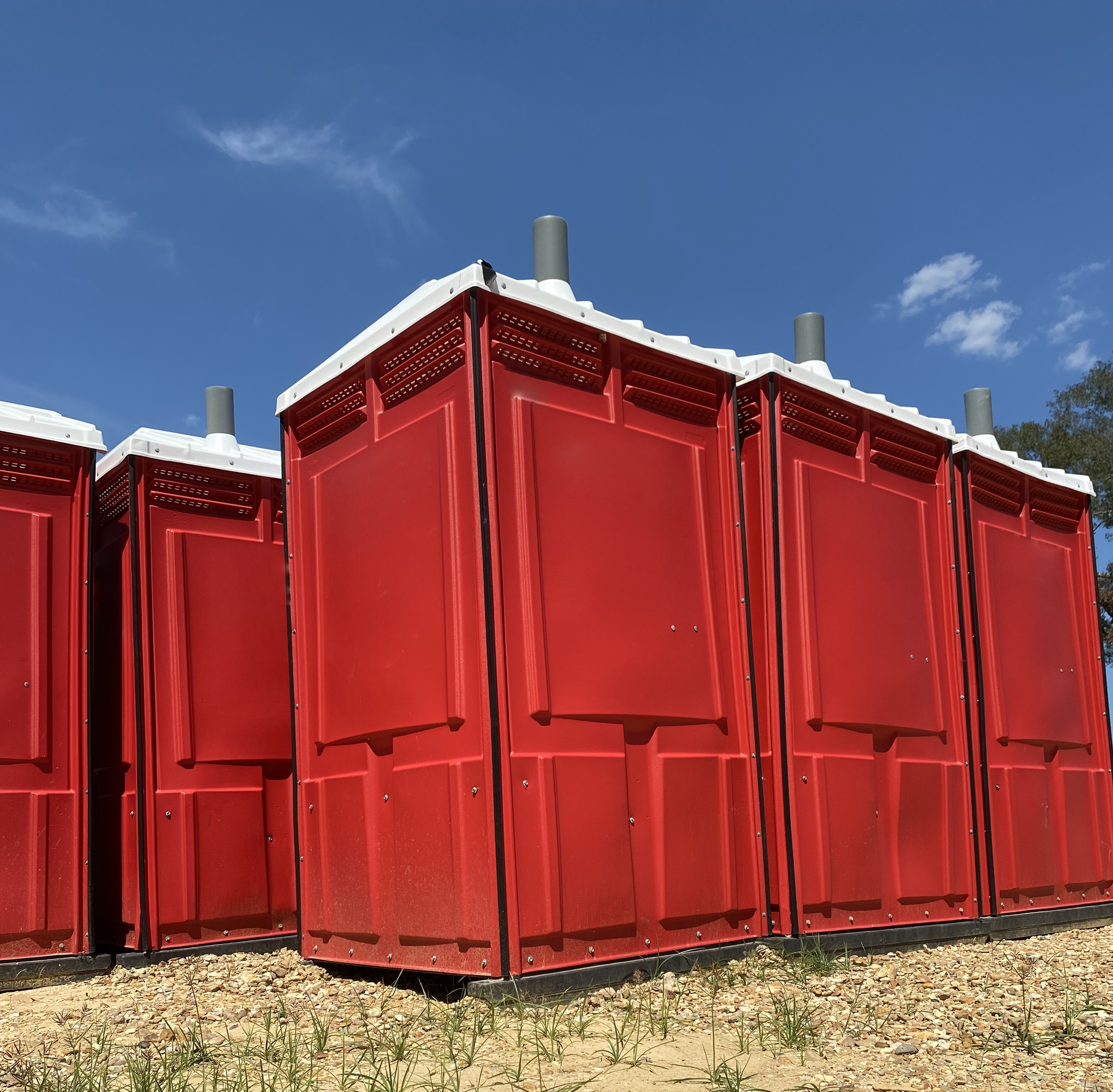 A row of red portable toilets are lined up in a field