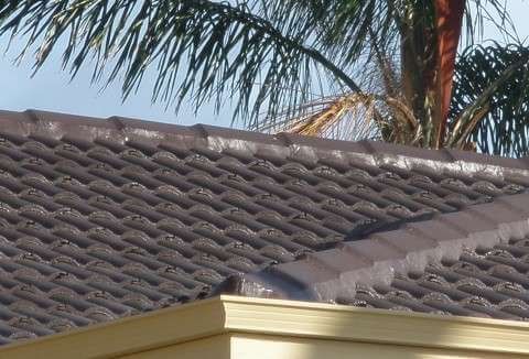 Dark gray tiled roof with a small roof vent, palm fronds overhead, and a beige roof edge below