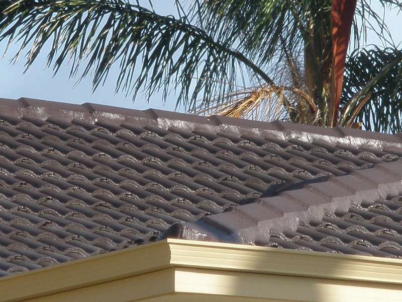 Tile roof with palm fronds above a beige house
