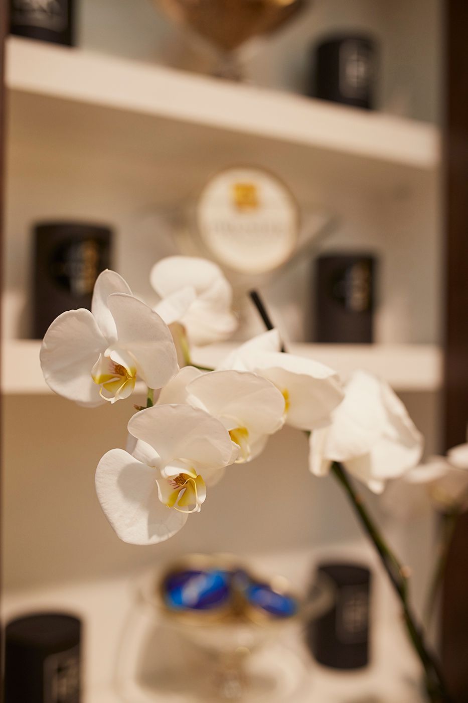 Caviar House Airport Premium Suisse Travel Retail Geneva Airport
