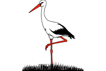 Ein Storch steht auf einem Bein im Gras.