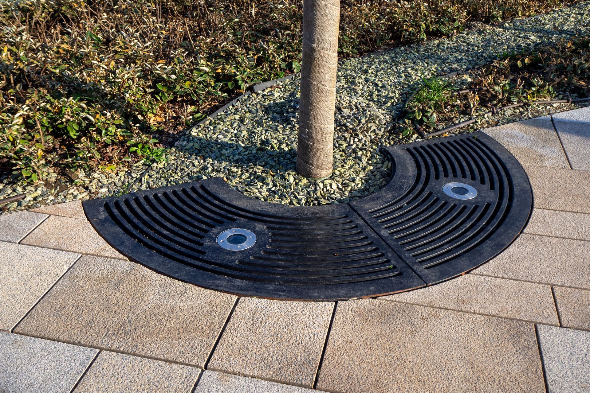 Black protective tree grate around a tree trunk in a paved sidewalk.