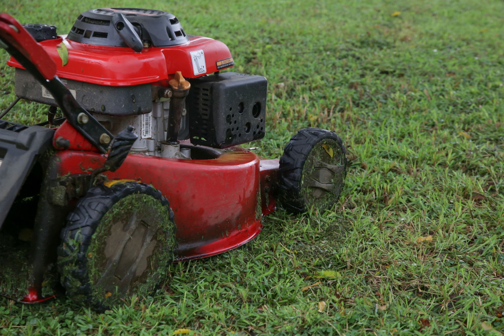 Red lawn mower on wet grass, cutting through a muddy yard.