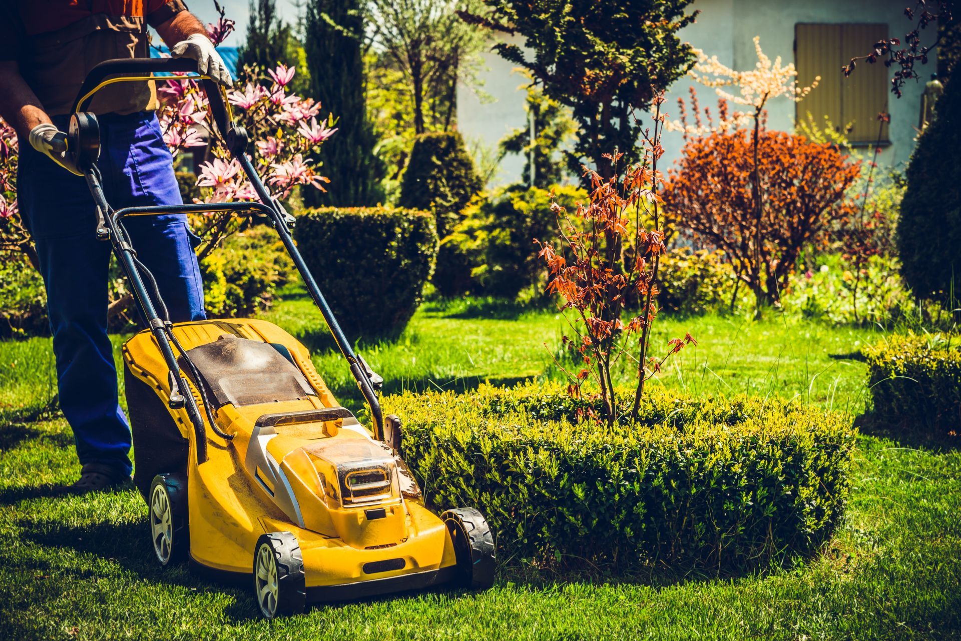 Person mowing a green lawn with a yellow push mower in a sunny garden.